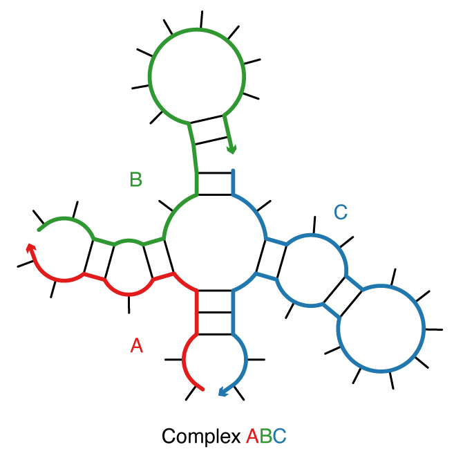 Example complex