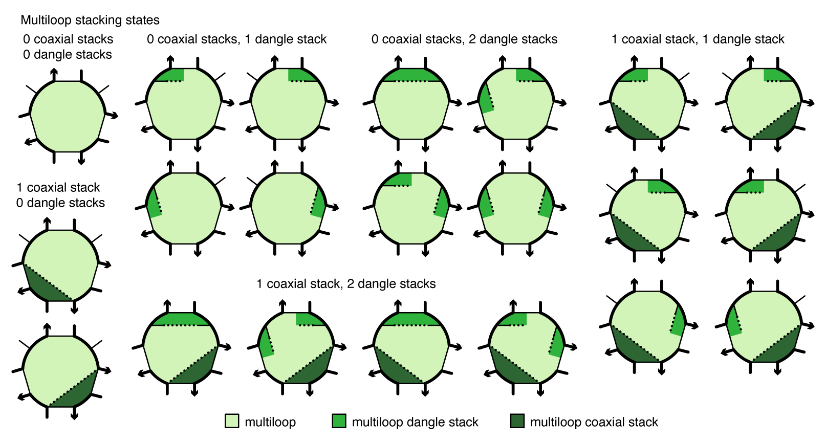 Coaxial and dangle stacking states for a multiloop