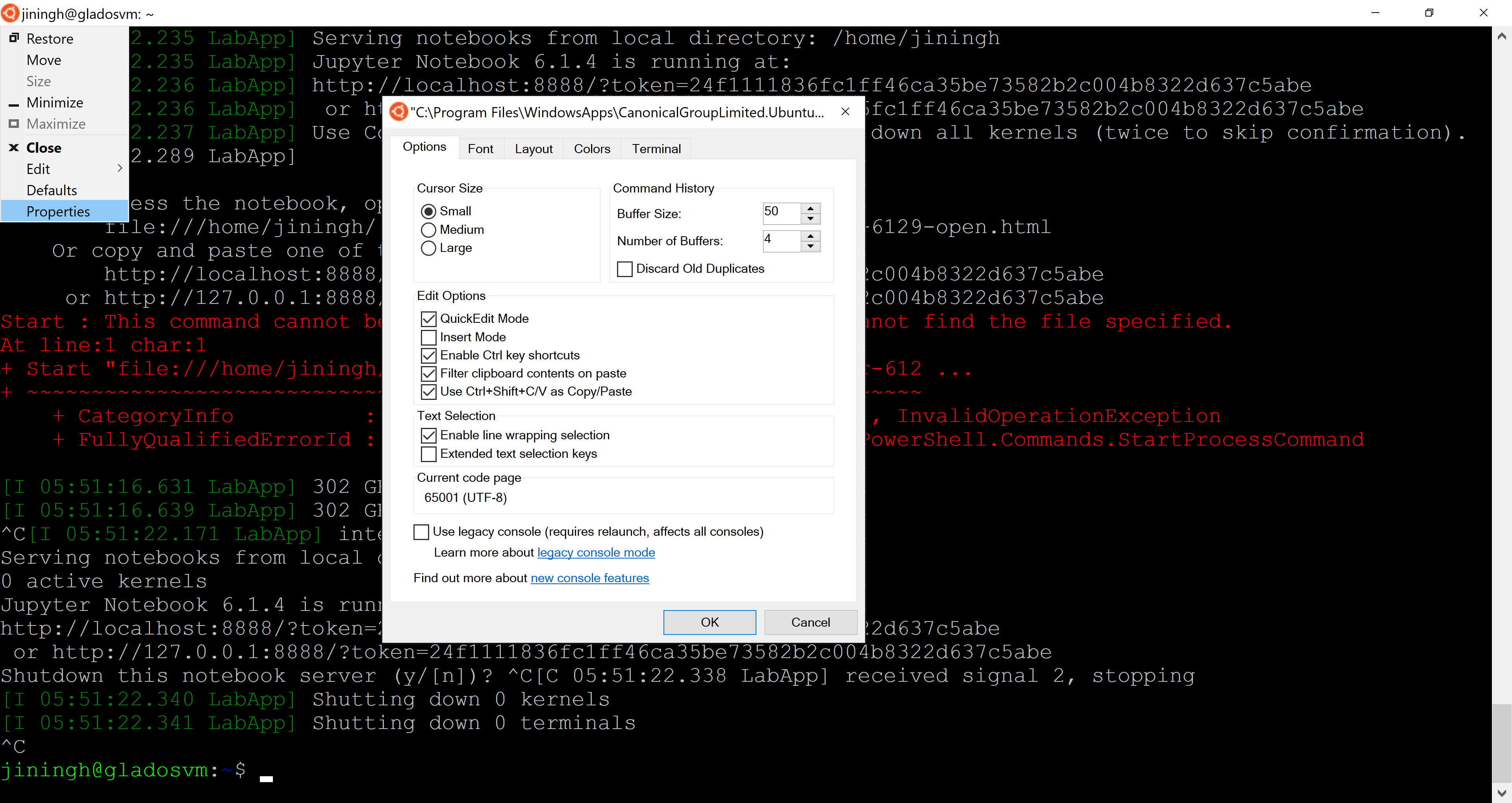 Ubuntu properties